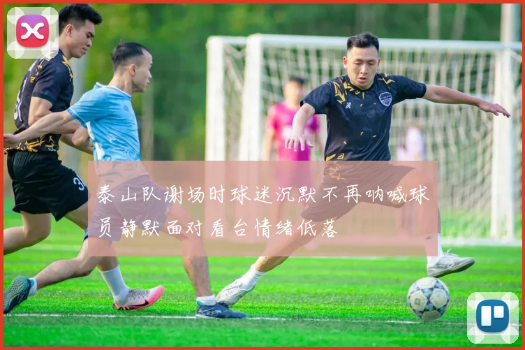 泰山队谢场时球迷沉默不再呐喊球员静默面对看台情绪低落